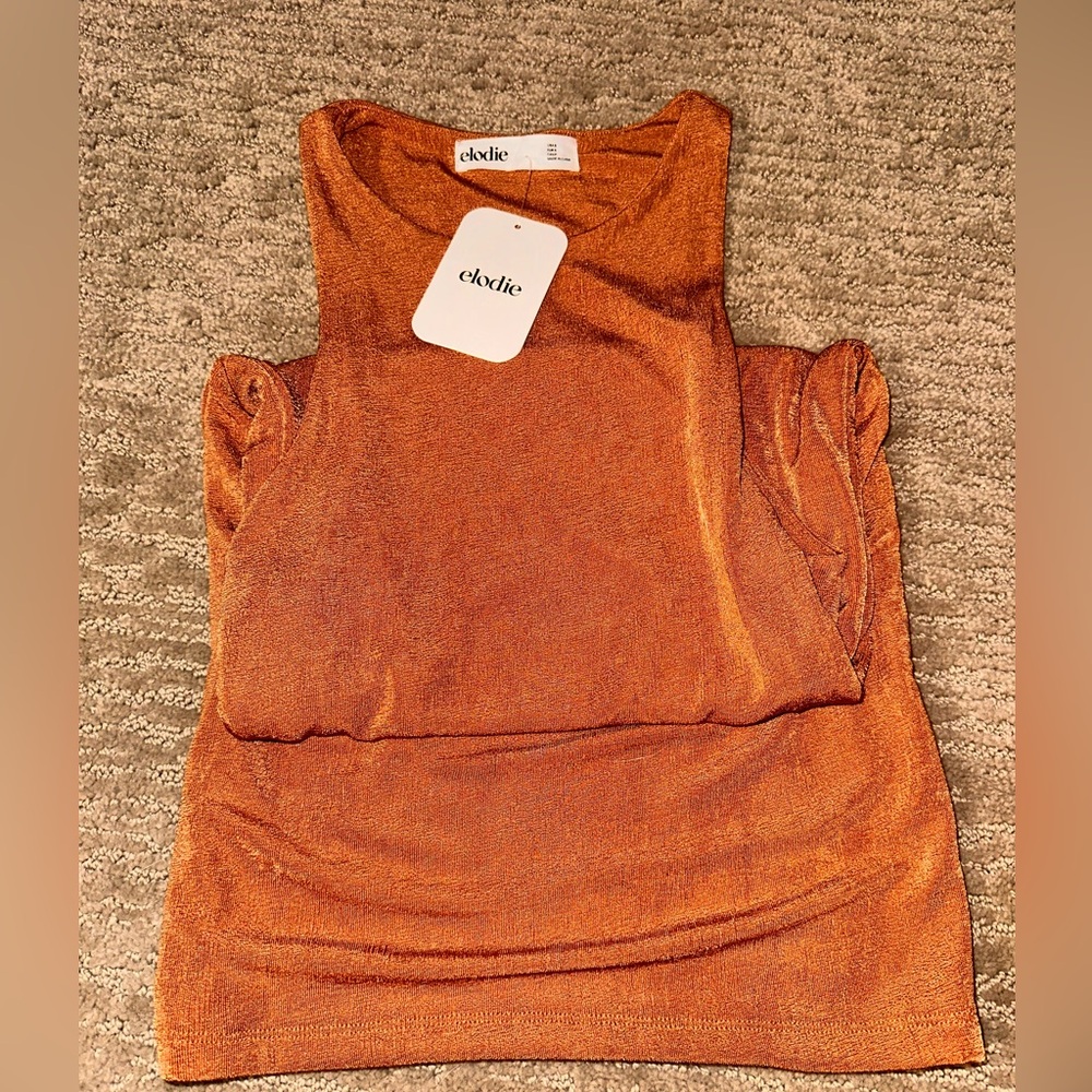 NWT Elodie Dress